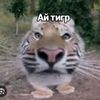 rumen_825