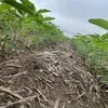 wanderlyagro.turismo.re