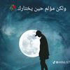 mahmoudelsayed8774