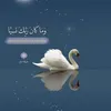 user2571959261685