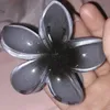 laura_wuay