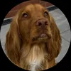 cocoworkingcocker