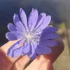 za_hra607