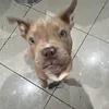 liljimbobb3
