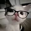 roxannedelacruz12