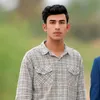 ygh.jsha