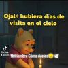 elviajero434