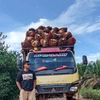 ANAK MUDA🌴