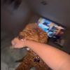 ucantgerridofme