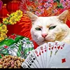 trang2003_13