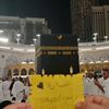 user86155397837681