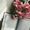 um_taha80