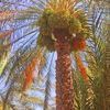 abdu25353