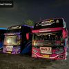 almer.13
