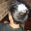 yudistira6834