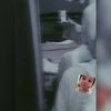 mai__nasser__1