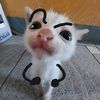 jiannaw_