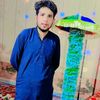 tanveer.500