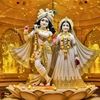 bijoy5241