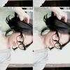 cacaw.caa