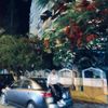 ✨ڪــࢪ🤴🏻يِّـــمً||𝐾𝒶𝓇𝒾𝓂✨