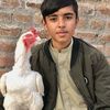 aseal.shoq2