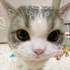 anky943