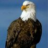 kartal8698