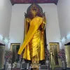 biedronia5