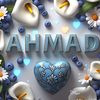 _ahmady1