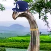 eltitanosaurio5