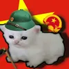 udhsjdjr