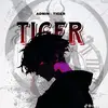 gemingtiger8
