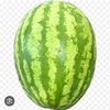 dadwatermelon