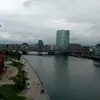 danica_quigley2