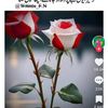 abu.bakkar2572