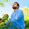 noor.rahman6787