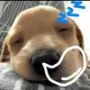 chi_cominhcot