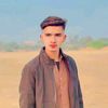 husnainraza0555