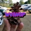 wvshop26