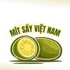 mitsayvietnam