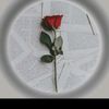 user776762974