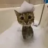ДОЗА>💓