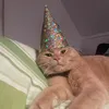 privata_linneaa