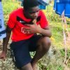 rhgdj3673588