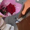 hixx__baa