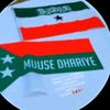 amina.mohamed.hasan