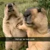 cannibalcandyy