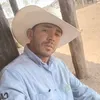 francisco.jurandi736