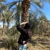 narges.shayan4